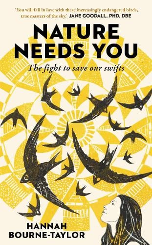 Nature Needs You: The Fight to Save Our Swifts by Hannah Bourne-Taylor
